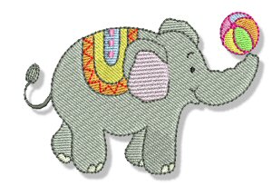 Circus 8