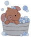 Splish Splash