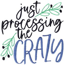 Just Processing The Crazy