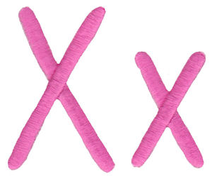 All Things Pink Alphabet X