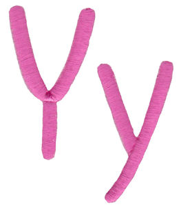 All Things Pink Alphabet Y