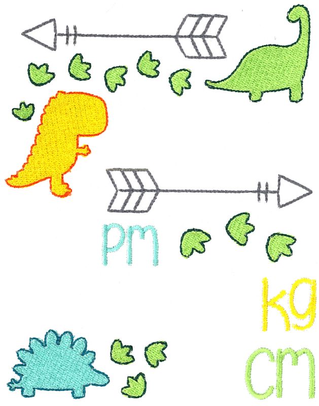 Dinosaur Birth Announcement Metric pm