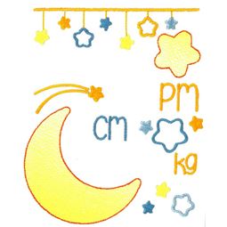 Moon Birth Announcement Metric pm