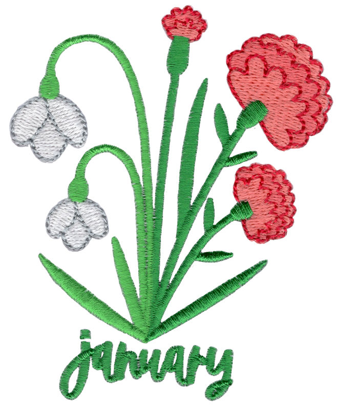 January Carnations and Snowdrops