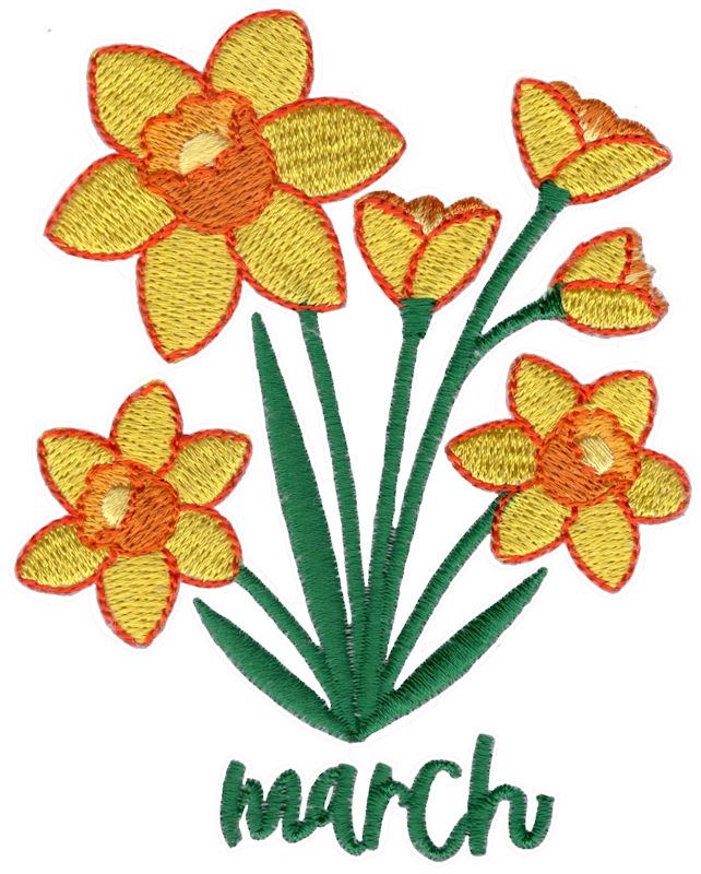 March Daffodils