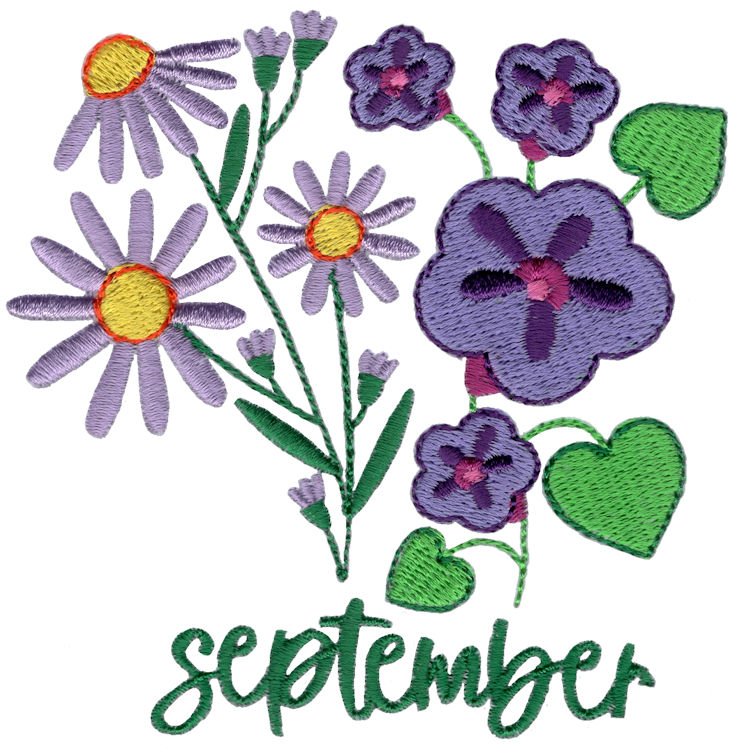 September Asters and Morning Glories