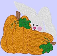 Pumpkin Bunny