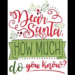 Dear Santa How Much Do You Know