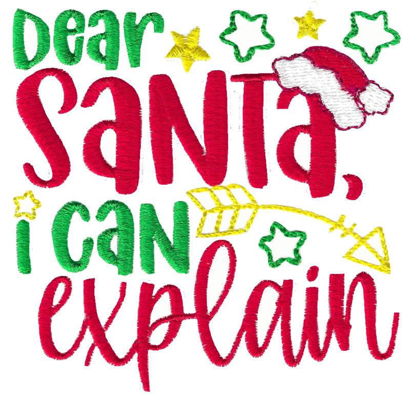 Dear Santa I Can Explain