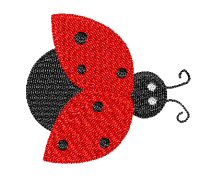 Ladybug