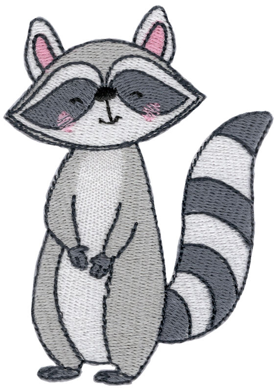 Cute Raccoon