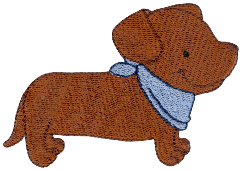 Dachshund