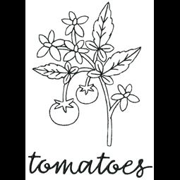 Farmhouse Tomato Vine
