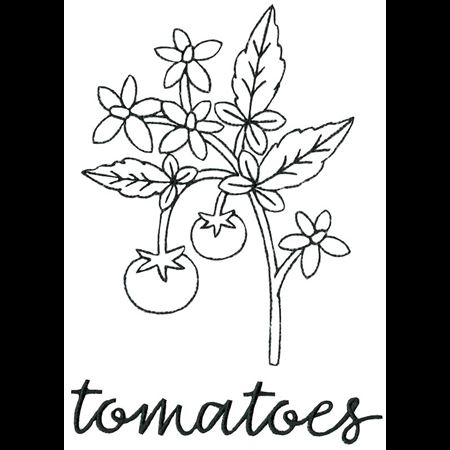 Farmhouse Tomato Vine