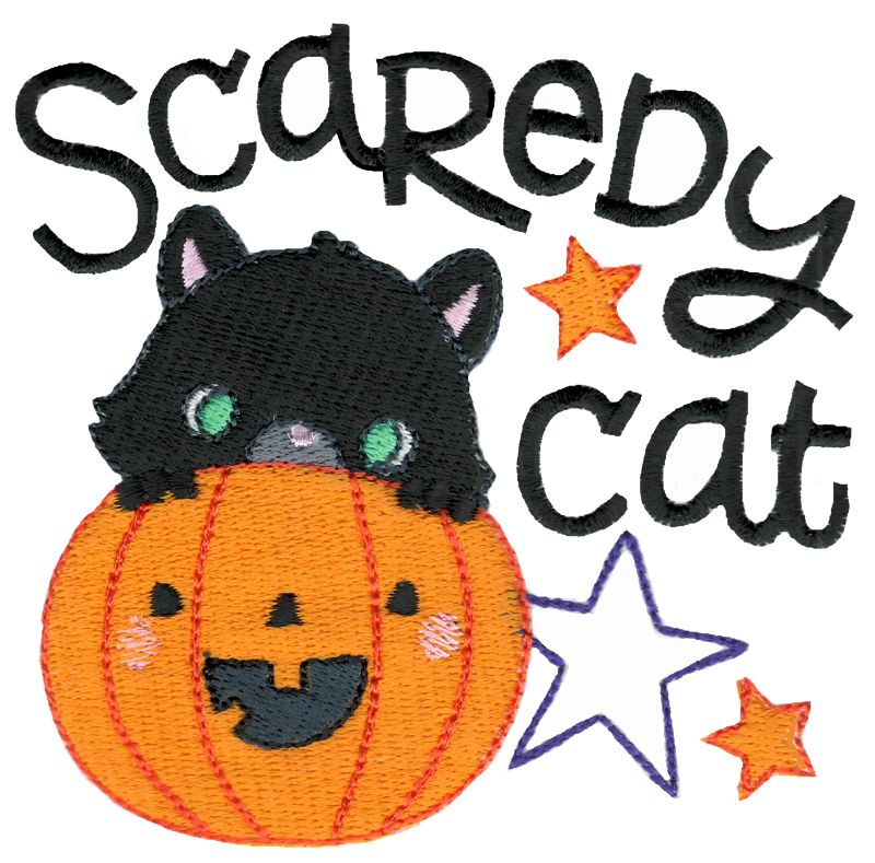 Scaredy Cat
