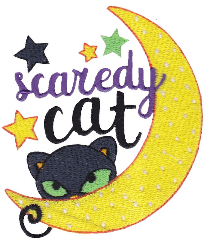 Scaredy Cat