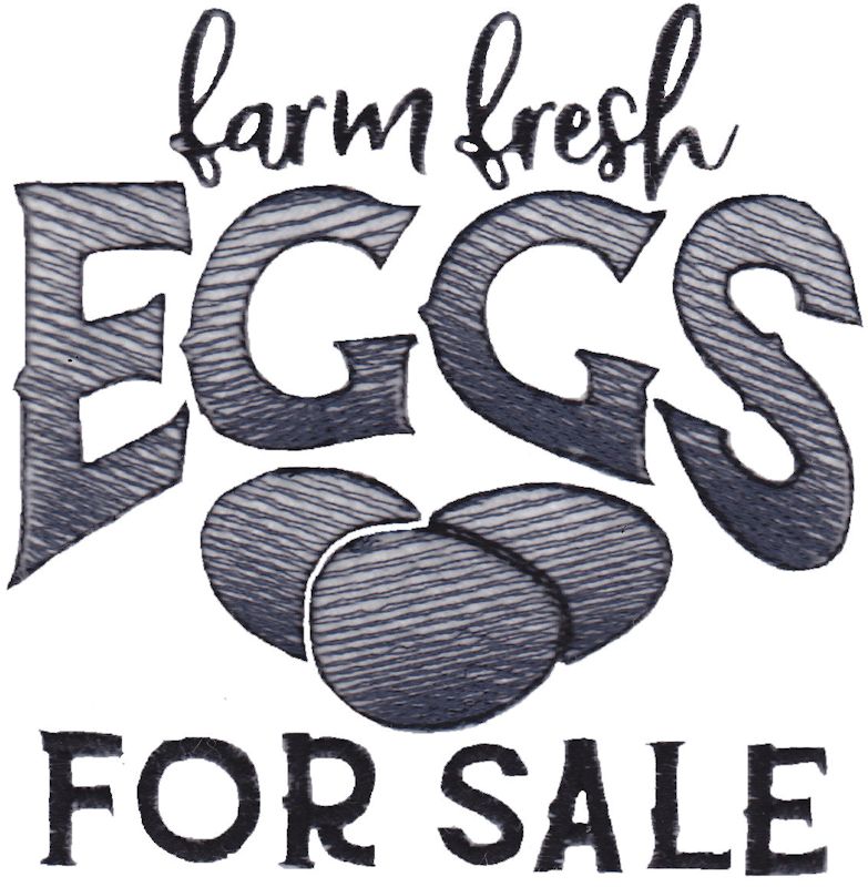 Farm Fresh Eggs For Sale