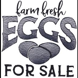 Farm Fresh Eggs For Sale