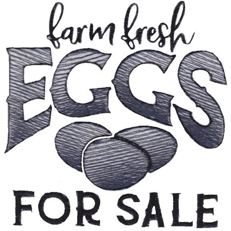 Farm Fresh Eggs For Sale
