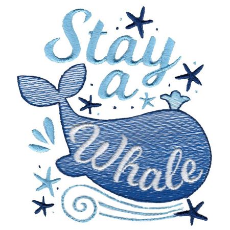 Stay A Whale