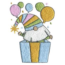 Birthday Surprise Boy Gnome