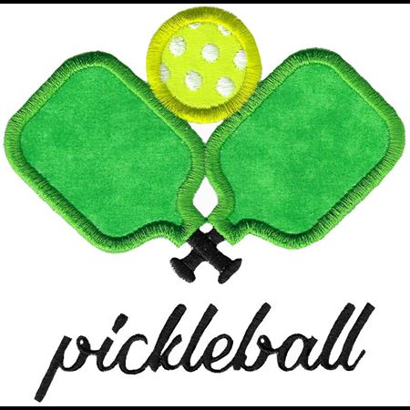 Pickleball Paddle and Balls