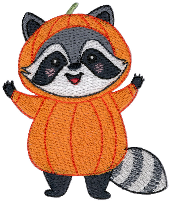 Pumpkin Raccoon