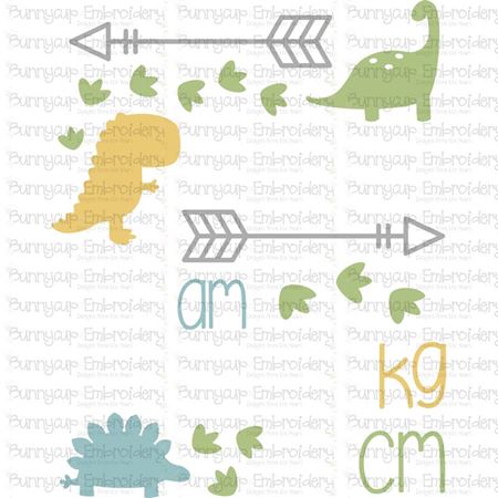 Dinosaur Birth Announcement Metric am SVG
