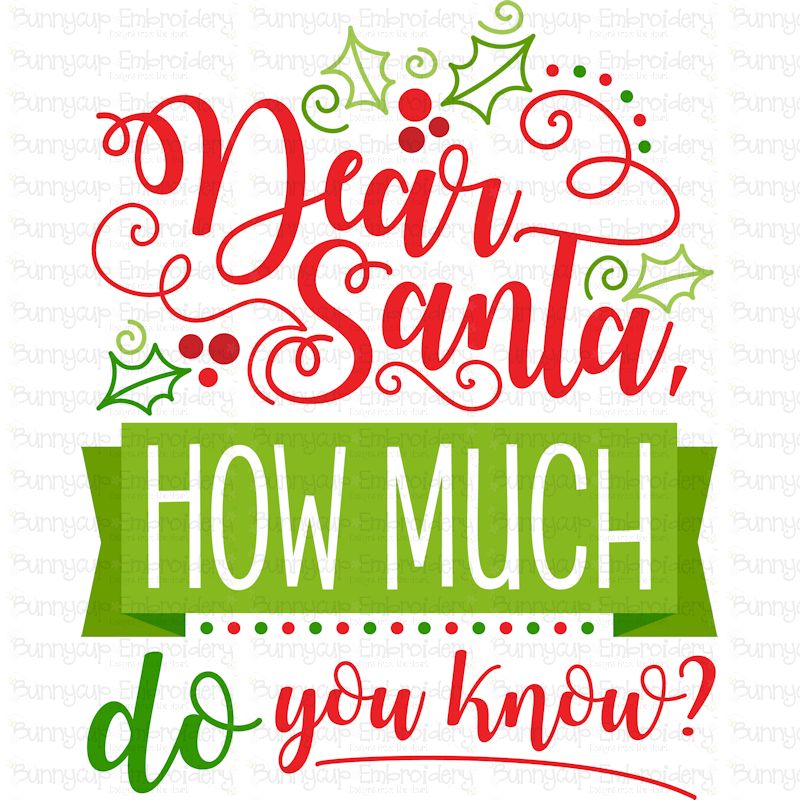 Dear Santa How Much Do You Know SVG