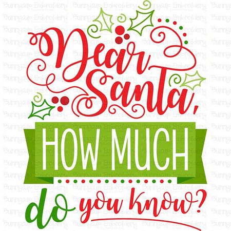 Dear Santa How Much Do You Know SVG