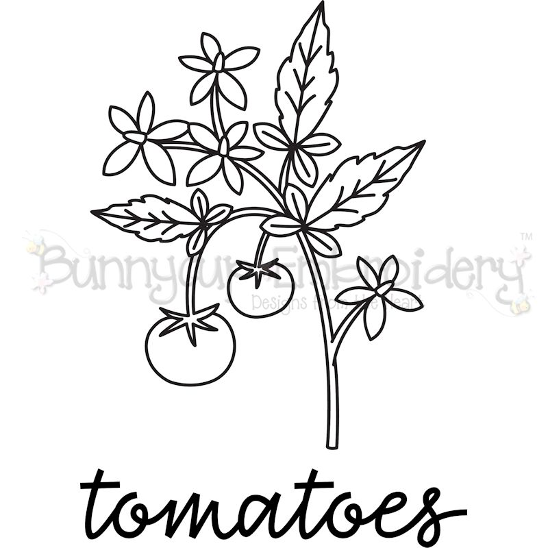 Farmhouse Tomato Vine SVG