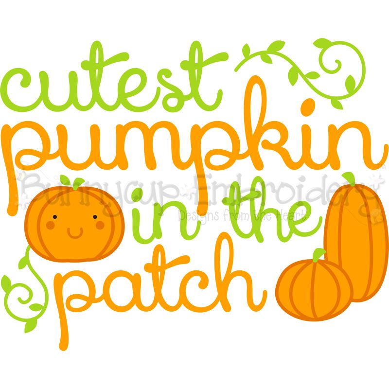 Cutest Pumpkin In The Patch SVG