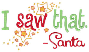 I Saw That Santa