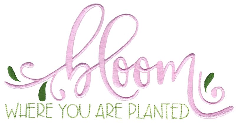 Bloom Where You Are Planted