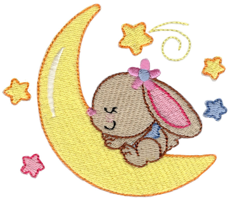 Bunny Sleeping On Moon