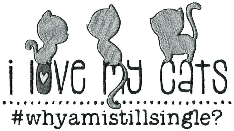 I Love My Cats Why Am I Still Single