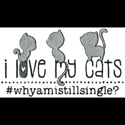 I Love My Cats Why Am I Still Single