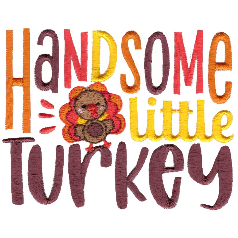Handome Little Turkey