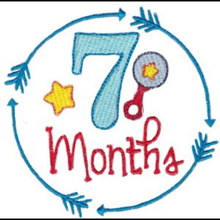 7 Months Baby Milestone