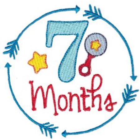 7 Months Baby Milestone