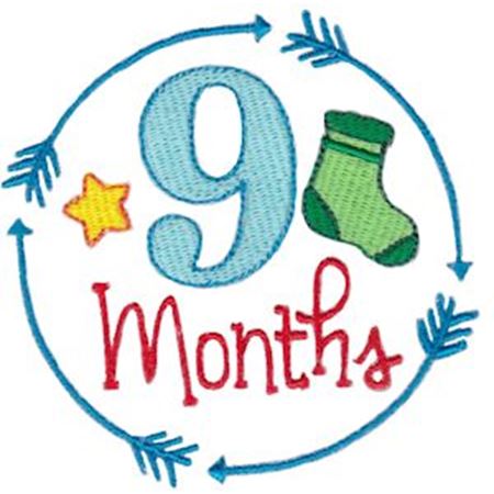 9 Months Baby Milestone