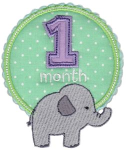 Baby Months Applique 1