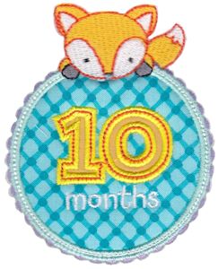 Baby Months Applique 10