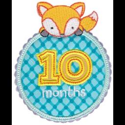 Baby Months Applique 10