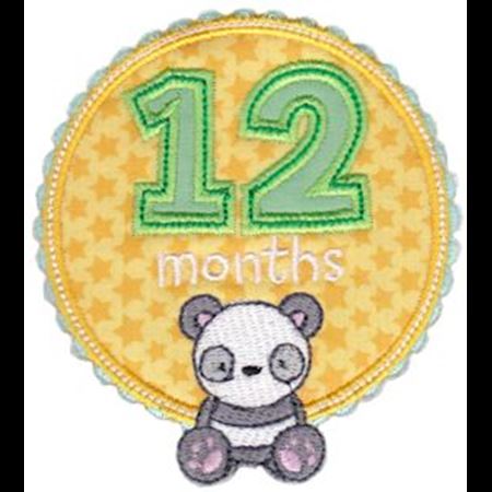Baby Months Applique 12