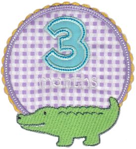 Baby Months Applique 3