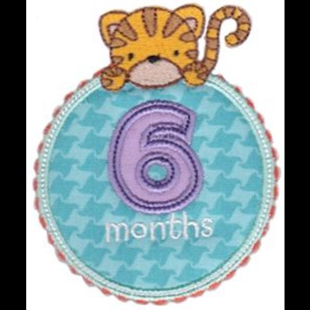 Baby Months Applique 6