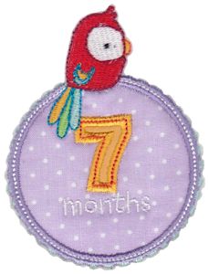 Baby Months Applique 7