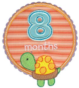 Baby Months Applique 8