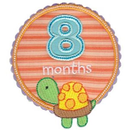 Baby Months Applique 8